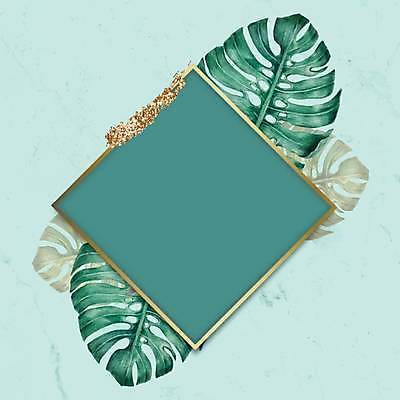 EPS 해외이미지 잎 일러스트 프레임 사람없음 마름모 몬스테라 민트색 프레임일러스트 트로피컬아트 해외일러스트 도형 식물 컬러 그림 파일형식 벡터 이미지허브