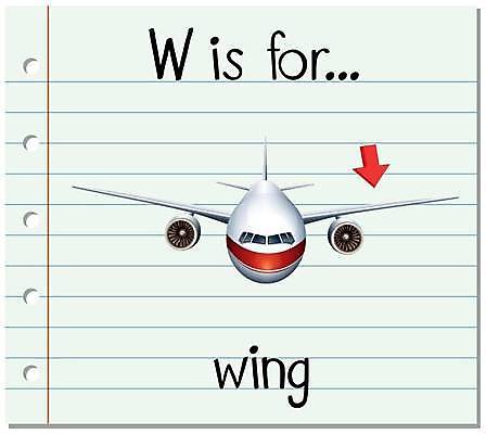 EPS 해외이미지 알파벳 영어 화살표 일러스트 비행기 영어교육 사람없음 단어 W 비행기날개 단어카드 해외일러스트 문자 교육 항공교통 대중교통 파일형식 벡터 단어장 이미지허브