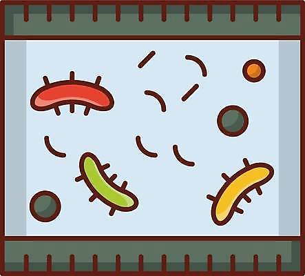 EPS 해외이미지 일러스트 사람없음 사각형 박테리아 해외일러스트 도형 의학 파일형식 벡터 이미지허브