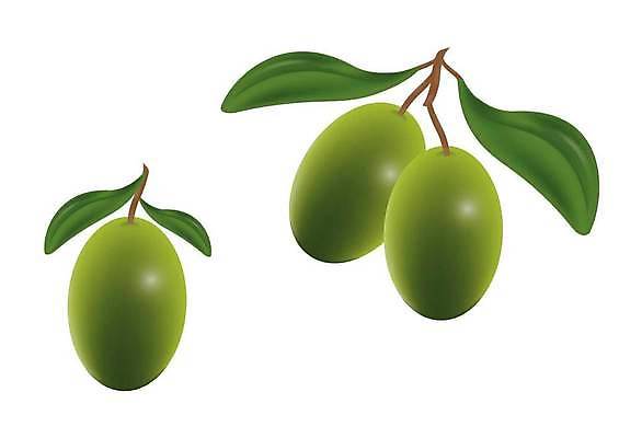 EPS 해외이미지 클립아트 나무 식물 손 디자인 실루엣 음식 백그라운드 잎 농업 채소 일러스트 재료 자연 건강 요리 미술 그래픽 초록색 세트 검은색 이탈리아 수확 흰색 나뭇가지 신선 스케치 수집 지중해 그림 유기농 올리브 심플 윤곽 그리스인 내추럴 고립 숙성 엘리먼트 채식주의자 해외일러스트 서양인 웰빙 열매 유럽 산업 바다 컬러 문화예술 촬영기법 신체부위 생태계 채식 파일형식 벡터 이미지허브