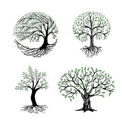 EPS 해외이미지 모양 나무 실루엣 줄기 단풍 잎 일러스트 자연 목재 초록색 세트 환경 성장 흰색 소나무 체리 사과 숲 수집 심볼 에코 뿌리 나무껍질 섬유 상록수 침엽수 전나무 자작나무 고립 삼림지대 생태학 수목 심기 엘리먼트 활자 해외일러스트 식물 교육 컬러 과일 재료 모션 촬영기법 껍질 직물 생태계 활자판 파일형식 벡터 이미지허브