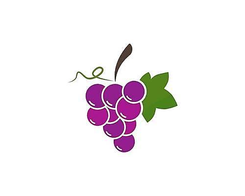 EPS 해외이미지 클립아트 식물 디자인 열매 실루엣 음식 잎 과일 일러스트 탁자 포도 매달리기 건강 그래픽 빨간색 농장 와인 보라색 플랫 달콤 다발 유기농 날것 윤곽 포도밭 포도나무 내추럴 고립 메를로 입가심 해외일러스트 웰빙 컬러 가구 밭 농업 모션 주류 촬영기법 맛 과일나무 파일형식 벡터 나무 산업 음료 생활용품 컨셉 오브젝트 이미지허브