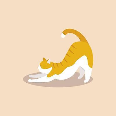 EPS 해외이미지 일러스트 사람없음 귀여움 고양이 고양이캐릭터 해외일러스트 동물캐릭터 컨셉 포유류 반려동물 파일형식 벡터 이미지허브