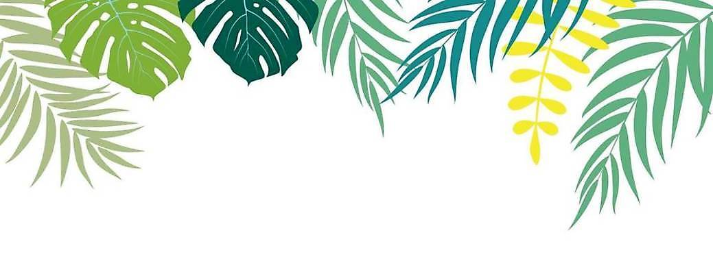 EPS 해외이미지 나무 식물 디자인 실루엣 아시아 섬 여행 백그라운드 잎 패턴 곡선 일러스트 자연 추상 프레임 손바닥 미술 해변 그래픽 초록색 여름 검은색 줄무늬 흰색 나뭇가지 숲 열대우림 심볼 오브젝트 싱글 심플 코코넛 내추럴 고립 넘어짐 엘리먼트 수평선 해외일러스트 손 계절 나라 선 바다 컬러 무늬 과일 모션 문화예술 촬영기법 생태계 파일형식 벡터 이미지허브