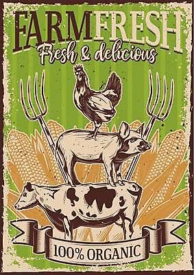 EPS 해외이미지 디자인 포스터 일러스트 옥수수 사람없음 연두색 농장 목장 닭 빈티지 돼지 소 유기농 질감 삼지창 해외일러스트 웰빙 창 컨셉 농업 포유류 조류 곡류 초록색 파일형식 벡터 이미지허브