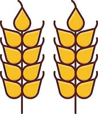 EPS 해외이미지 식물 문화 음식 빵 백그라운드 밭 농업 일러스트 건강 옥수수 씨앗 그래픽 농작물 농장 빵집 수확 플랫 낟알 인도인 시리얼 밀 심볼 사인 유기농 보리 귀 밀가루 내추럴 밭일 호밀 해외일러스트 외국인 웰빙 산업 곡류 동양인 신체부위 상점 가루 파일형식 벡터 이미지허브