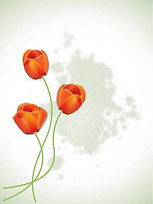 EPS 해외이미지 식물 디자인 꽃 실루엣 백그라운드 잎 꽃무늬 패턴 일러스트 상상 자연 친절 발렌타인데이 선물 사랑 미술 그래픽 장식 빨간색 초록색 봄 낭만 튤립 신선 화려 심볼 부드러움 공상 엘리먼트 해외일러스트 계절 감정 컬러 컨셉 무늬 데이이벤트 문화예술 촬영기법 감각 생태계 파일형식 벡터 이미지허브