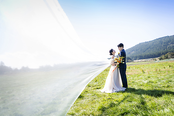 포토 JPG 주간 전신 응시 여자 남자 행복 부케 웨딩드레스 허리손 결혼 하늘 날리기 사랑 서기 미소 들기 정장 턱시도 초원 20대 성인 야외 두명 옆모습 30대 제주도 마주보기 한국인 베일 신랑신부 성인만 웨딩촬영 국내포토 자연요소 시선 드레스 옷 감정 신부_웨딩 뷰포인트 꽃다발 포즈 신랑 모션 한국 표정 사람 동양인 이벤트 청년 장년 기념사진 파일형식