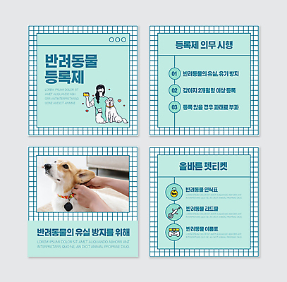 PSD 템플릿 손 여자 반려견 웹템플릿 세마리 한명 들기 상반신 성인 신체부위 반려동물 고양이 강아지 목줄 민트색 실행 애완동물등록제 웰시코기 의무 정책 성인여자한명만 걸기 카드뉴스 반려묘 등록 이미지템플릿 동물 1 컬러 포유류 모션 3 사람 개 제도 여자한명만 성인여자만 파일형식 반려용품