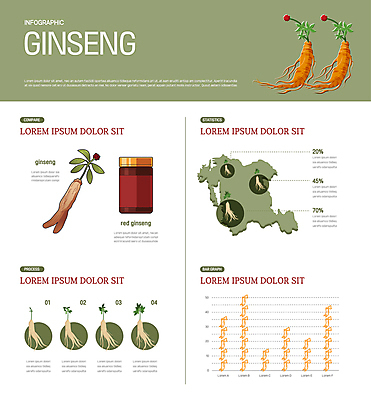 지도 일러스트 그래프 건강 사람없음 초록색 인포그래픽 인삼 병 영양 금산 금산인삼 홍삼 홍삼액기스 홍삼진액 국내일러스트 AI파일 식기 컬러 삼 충청남도 즙 특산물 파일형식 벡터 진액