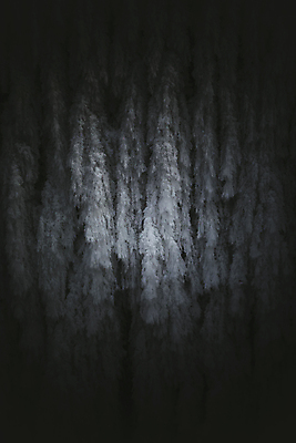 포토 JPG 해외이미지 계절 조각 백그라운드 크리스마스 겨울 패턴 자연 표면 날씨 추상 사람없음 파란색 얼음 추위 흰색 신선 눈송이 12월 크리스탈 질감 서리 제설기 폭설 눈내림 해외포토 자연요소 기념일 컬러 무늬 눈_날씨 날짜 광석 자연재해 생태계 제설 파일형식 이미지허브