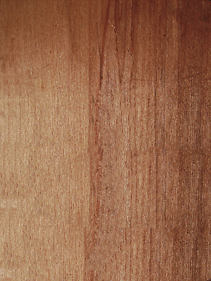 포토 JPG 해외이미지 식물 디자인 백그라운드 패턴 자연 표면 추상 바닥 프레임 사람없음 갈색 쪽지 공백 정보 발표 메시지 플랫 천 묘사 질감 코르크 공지사항 직사각형 내추럴 그런지 수목 스크랩북 옛날 코르크보드 해외포토 도형 컬러 무늬 알림판 직물 생태계 파일형식 이미지허브