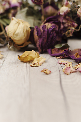 포토 JPG 해외이미지 식물 디자인 꽃잎 꽃 종이 분홍색 꽃다발 결혼 백그라운드 잎 꽃무늬 자연 탁자 엄마 표면 날씨 건조 발렌타인데이 선물 사랑 사람없음 목재 장식 상자 뷰티 장미 갈색 우주 낭만 수확 벚꽃 가을 시골 축하 인사 신용카드 정상 심볼 복고 내추럴 그런지 옛날 카피스페이스 해외포토 나무 계절 감정 컬러 가구 컨셉 무늬 농업 재료 가족 데이이벤트 이벤트 금융 공백 예절 생태계 파일형식 이미지허브