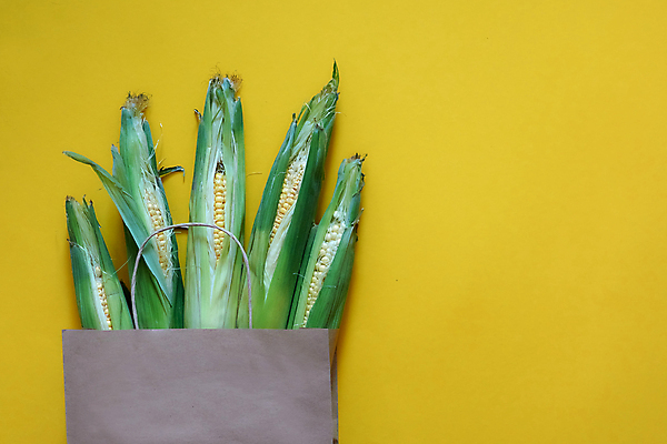 포토 JPG 해외이미지 잡화 종이 다이어트 토마토 채소 가방 과일 재료 포장 피망 주택 파스타 건강 사람없음 초록색 쇼핑 세일 우주 상점 샐러드 신선 시장 플랫 배달원 정상 가득함 유기농 팩 패키지 모음 질서 온라인 슈퍼마켓 내추럴 고립 매각 생태학 비건 해외포토 직업 웰빙 교육 음식 컬러 서양음식 한글 건물 화장품 예절 채식주의자 파일형식 이미지허브