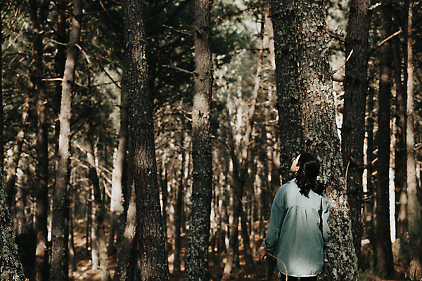 포토 JPG 해외이미지 주간 여자 여행 휴식 한명 상반신 성인 야외 뒷모습 산책 올려보기 소나무 숲속 소나무숲 혼자 성인여자한명만 해외포토 자연요소 나무 1 뷰포인트 컨셉 모션 사람 숲 여자한명만 성인여자만 파일형식 이미지허브