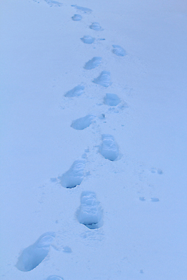 포토 JPG 해외이미지 계절 여행 겨울 패턴 곡선 자국 추상 사람 사람없음 야외 냉동 얼음 황혼 새벽 산책 추위 탐험 흰색 시골 신선 고독 발자국 오솔길 북극 방향 모험가 흔적 장면 단계 깊이 루트 방법 선로 양발 자취 각인 해외포토 자연요소 감정 길 선 컬러 무늬 휴식 일몰 극지방 파일형식 이미지허브