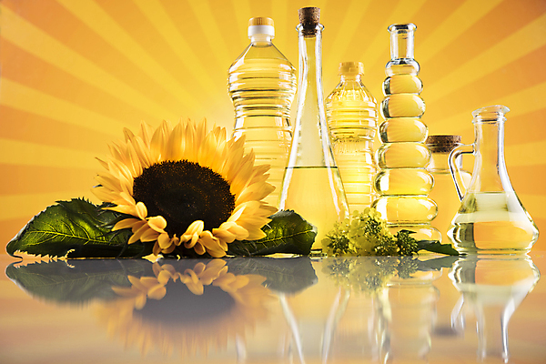 포토 JPG 해외이미지 잎 유리병 해바라기 실내 사람없음 반사 다양 식용유 올리브오일 코르크 노란배경 오일병 카놀라 해바라기씨유 해외포토 식물 꽃 다수 백그라운드 병_용기 내부 노란색 기름_음식 파일형식 이미지허브