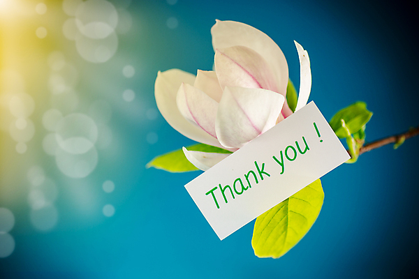 포토 JPG 해외이미지 나무 식물 계절 꽃 행복 백그라운드 잎 꽃무늬 텍스트 추상 사람없음 장식 파란색 태양 뷰티 정원 봄 벚꽃 광선 축하 인사 신선 신용카드 개화 싱글 감사 엽서 목련 고립 꽃수술 블러 해외포토 자연요소 감정 컬러 컨셉 무늬 금융 예절 편지 파일형식 이미지허브