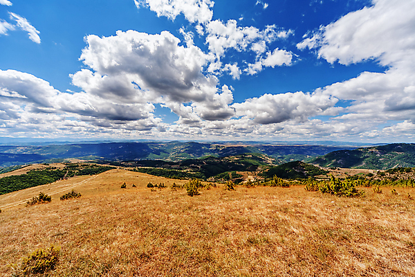 포토 JPG 해외이미지 나무 계절 공원 여행 오렌지 자연 하늘 산 사람없음 야외 초록색 파란색 빛 햇빛 태양 우주 일출 환경 일몰 봄 황금 숲 언덕 내추럴 세르비아 전국 해외포토 자연요소 식물 공공시설 컬러 과일 노을 생태계 파일형식 이미지허브