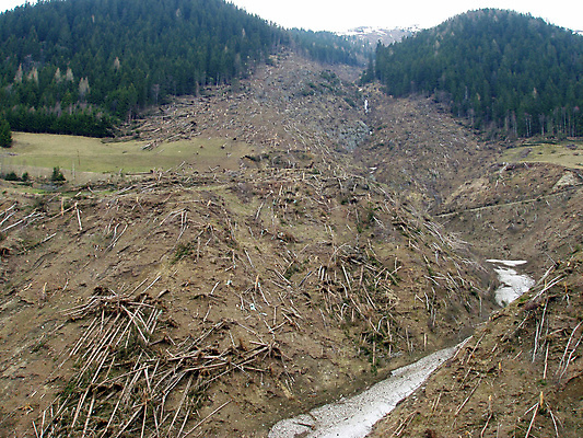 포토 JPG 해외이미지 식물 계절 날씨 종류 안전 사람없음 목재 봄 손상 다양 티켓 보호 위험 예방 보안 서식지 보험 재앙 지리 해외포토 나무 다수 컨셉 재료 파일형식 이미지허브