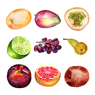 포토 JPG 해외이미지 일러스트 포도 디저트 미술 사람없음 세트 자몽 열대과일 그림 복숭아 라임 망고 리치 살구 엘리먼트 해외일러스트 음식 과일 문화예술 파일형식 이미지허브