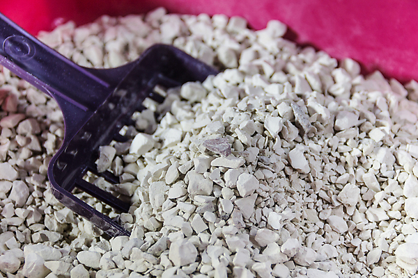 포토 JPG 해외이미지 동물 모래 백그라운드 사람없음 목재 반려동물 상자 고양이 재활용 회색 입자 쓰레기 상품 플라스틱 천 청소 삽 질감 변기통 위생관리 해외포토 나무 컬러 재료 포유류 재질 관리 직물 친환경 파일형식 이미지허브