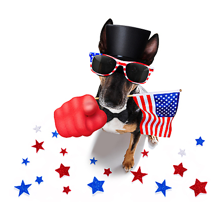 포토 JPG 해외이미지 동물 배너 행복 별 백그라운드 손가락 휴가 사람없음 파란색 반려동물 선글라스 축제 미국 자유 축하 깃발 4 유머 개 선거 심볼 전쟁 영웅 기념물 모집 애국심 명예 7월 고립 독립 독립기념일 무료 전국 해외포토 자연요소 손 기념일 감정 안경 컬러 컨셉 북아메리카 포유류 숫자 날짜 민주주의 파일형식 이미지허브