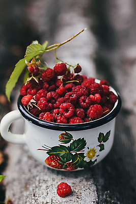포토 JPG 해외이미지 계절 열매 음식 백그라운드 잎 과일 자연 아침 디저트 건강 사람없음 야외 컵 초록색 약 정원 우유 머그컵 수확 흰색 시골 신선 사발 달콤 맛 아침식사 먹기 허브 상쾌 유기농 날것 산딸기 내추럴 숙성 채식주의자 비건 맛있는 해외포토 주간 식물 식기 웰빙 감정 컬러 컨셉 농업 의학 모션 유제품 식사 사기그릇 생태계 채식 파일형식 이미지허브