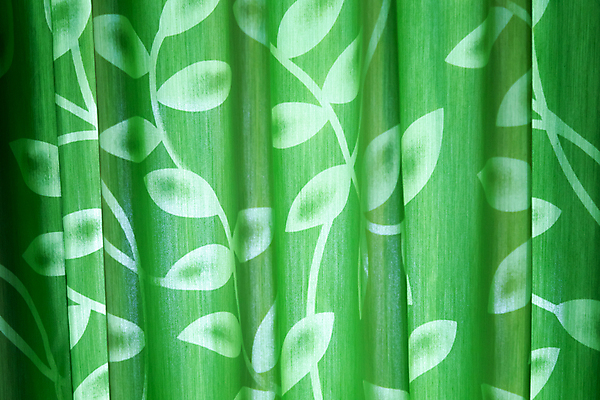 포토 JPG 해외이미지 나무 식물 공원 백그라운드 잎 패턴 자연 벽지 추상 사람없음 야외 초록색 물 빛 태양 뷰티 환경 정원 봄 성장 나뭇가지 신선 커튼 닫기 숲 대나무 묘사 질감 내추럴 해외포토 자연요소 계절 공공시설 컬러 무늬 모션 생태계 파일형식 이미지허브