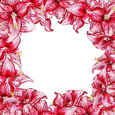 포토 JPG 해외이미지 식물 꽃 화초 분홍색 꽃다발 백그라운드 꽃무늬 일러스트 자연 프레임 사람없음 빨간색 컬러풀 뷰티 정원 수확 벚꽃 흰색 축하 인사 신용카드 그림 내추럴 고립 이국적 해외일러스트 컬러 컨셉 무늬 농업 금융 예절 생태계 파일형식 이미지허브