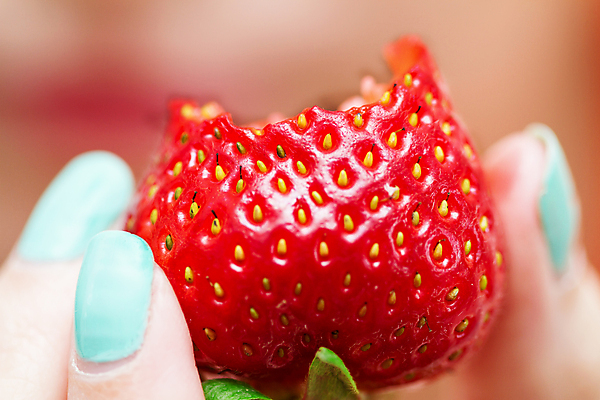 포토 JPG 해외이미지 식물 손 여자 열매 음식 잎 농업 다이어트 과일 손가락 자연 딸기 디저트 건강 사람없음 빨간색 초록색 농장 신선 잡기 달콤 유기농 내추럴 맛있는 해외포토 웰빙 산업 컬러 모션 사람 신체부위 맛 생태계 파일형식 이미지허브