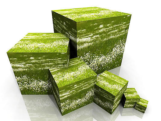 포토 JPG 해외이미지 식물 계절 꽃잎 꽃 꽃무늬 밭 일러스트 자연 프레임 미술 사람없음 장식 초록색 컬러풀 뷰티 정원 봄 신선 데이지 내추럴 국경 해외일러스트 컬러 무늬 농업 문화예술 생태계 파일형식 이미지허브