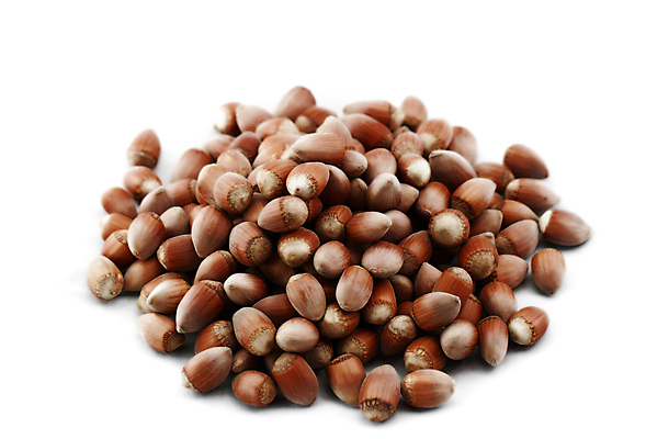 포토 JPG 해외이미지 음식 백그라운드 재료 디저트 건강 씨앗 사람없음 갈색 에너지 견과류 가을 흰색 달콤 맛 먹기 호두 내추럴 개암나무 고립 식용 채식주의자 많음 개암 맛있는 해외포토 나무 식물 계절 열매 컬러 컨셉 모션 채식 파일형식 이미지허브