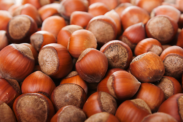 포토 JPG 해외이미지 실내 사람없음 갈색 견과류 가득함 헤이즐넛 해외포토 컬러 내부 파일형식 이미지허브