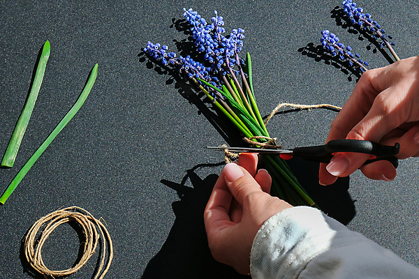 포토 JPG 해외이미지 손 꽃 꽃다발 실내 신체부위 작업실 자르기 꽃집 만들기 무스카리 해외포토 식물 모션 사람 내부 상점 파일형식 이미지허브