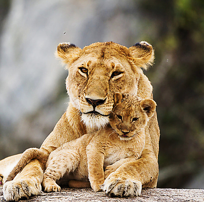 포토 JPG 해외이미지 여행 사람없음 여행객 탄자니아 해외포토 아프리카 사람 파일형식 이미지허브
