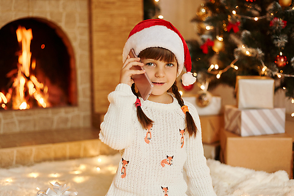 포토 JPG 해외이미지 백인 행복 크리스마스 새로움 한명 들기 상반신 스마트폰 크리스마스트리 흰색 벽난로 통화 해외포토 서양인 1 기념일 감정 컬러 컨셉 모션 사람 핸드폰 스마트기기 파일형식 이미지허브