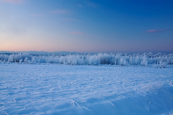 포토 JPG 해외이미지 나무 계절 백그라운드 겨울 자연 하늘 풍경 사람없음 야외 목재 파란색 뷰티 냉동 얼음 추위 흰색 시골 눈송이 숲 12월 서리 장면 1월 눈내림 해외포토 자연요소 식물 컬러 재료 눈_날씨 날짜 생태계 파일형식 이미지허브