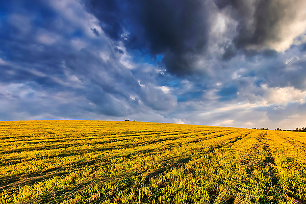 포토 JPG 해외이미지 구름 유럽 선 밭 농업 자연 아침 풍경 초원 사람없음 야외 초록색 여름 햇빛 농장 농경지 환경 맑음 봄 성장 농촌 시골 저녁 땅 언덕 유기농 러시아 장면 수평선 세련 해외포토 주간 자연요소 웰빙 계절 나라 산업 컬러 날씨 태양 야간 생태계 파일형식 이미지허브