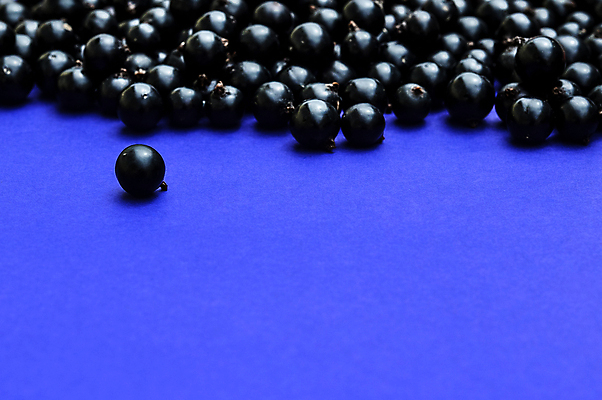 포토 JPG 해외이미지 계절 열매 음식 백그라운드 다이어트 과일 재료 자연 건강 사람없음 검은색 신선 그룹 사발 닫기 달콤 정상 유기농 날것 블랙베리 흙더미 내추럴 건포도 숙성 채식주의자 해외포토 식물 웰빙 컬러 모션 포도 흙 사기그릇 맛 생태계 채식 건과일 파일형식 더미 이미지허브