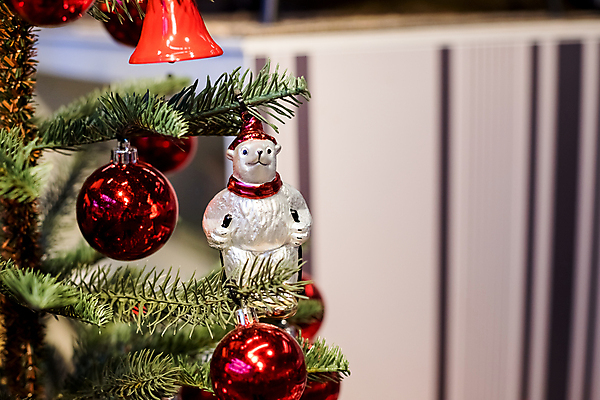 포토 JPG 해외이미지 전통 디자인 계절 크리스마스 겨울 공 유리 휴가 새해 기념 선물 사람없음 장식 빨간색 초록색 빛 장난감 크리스마스트리 우주 축제 장식볼 흰색 나뭇가지 축하 소나무 신용카드 화려 황금 12월 심볼 전나무 고립 가문비나무 해외포토 나무 기념일 컬러 컨셉 재질 금융 날짜 파일형식 이미지허브