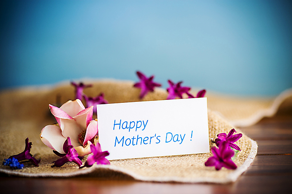 포토 JPG 해외이미지 종이 백그라운드 봄꽃 프레임 사랑 사람없음 사각형 직물 감사 비네팅 레터링 어머니의날 해외포토 도형 기념일 꽃 감정 촬영기법 봄 미국문화 파일형식 이미지허브