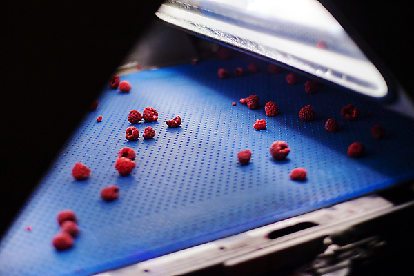 포토 JPG 해외이미지 공장 사람없음 냉동 어둠 기계 제조 산딸기 식품공장 냉동식품 해외포토 음식 과일 공업 파일형식 이미지허브