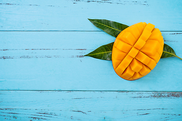 포토 JPG 해외이미지 스튜디오촬영 하늘색 나뭇잎 사람없음 하이앵글 노란색 망고 해외포토 뷰포인트 컬러 잎 실내 파란색 열대과일 파일형식 이미지허브