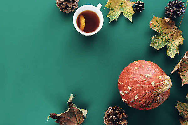 포토 JPG 해외이미지 나무 디자인 계절 백그라운드 잎 패턴 오렌지 장난 텍스트 자연 탁자 호박 휴가 프레임 건조 따뜻함 사람없음 장식 초록색 갈색 노란색 파티 할로윈 흰색 플랫 정상 묘사 질감 레이아웃 위치 추수감사절 10월 내추럴 흡혈귀 구성 힙스터 미니멀 해외포토 식물 패션 기독교 컬러 가구 무늬 채소 과일 이벤트 날짜 생태계 파일형식 이미지허브