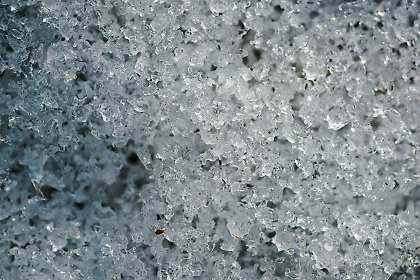 포토 JPG 해외이미지 식물 계절 공원 지구 백그라운드 잎 겨울 밭 오렌지 자연 표면 날씨 사람없음 야외 컬러풀 갈색 노란색 냉동 얼음 흙 산책 추위 덮개 흰색 신선 닫기 떨어짐 12월 9월 11월 땅 서리 내추럴 땅바닥 눈내림 해외포토 자연요소 공공시설 컬러 컨셉 농업 과일 모션 휴식 바닥 눈_날씨 뚜껑 날짜 생태계 파일형식 이미지허브