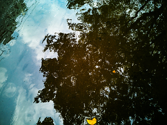 포토 JPG 해외이미지 나무 계절 공원 도로 여행 백그라운드 잎 겨울 오렌지 자연 하늘 날씨 추상 거리 사람없음 야외 물 빛 컬러풀 반사 환경 젖음 도시 액체 숲 인쇄 웅덩이 내추럴 옛날 해외포토 자연요소 식물 공공시설 길 컬러 무늬 과일 교통시설 생태계 파일형식 이미지허브