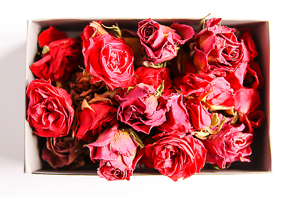 포토 JPG 해외이미지 스튜디오촬영 꽃 사람없음 빨간색 상자 하이앵글 장미 해외포토 식물 뷰포인트 컬러 실내 파일형식 이미지허브