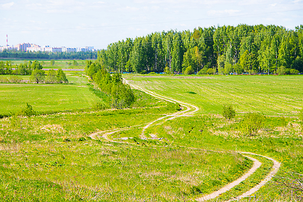 포토 JPG 해외이미지 나무 식물 계절 유럽 백그라운드 밭 자연 하늘 파노라마 잔디 사람없음 야외 초록색 파란색 컬러풀 햇빛 농장 농경지 노란색 환경 맑음 봄 성장 시골 신선 땅 장면 폴란드 평야 호밀 수평선 세련 해외포토 나라 컬러 농업 날씨 곡류 촬영기법 태양 생태계 파일형식 이미지허브
