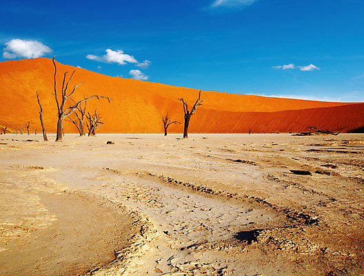 포토 JPG 해외이미지 나무 모래 유적 오렌지 아프리카 자연 하늘 날씨 건조 골격 사람없음 목재 빨간색 파란색 글로벌 맑음 흙 사막 죽음 뜨거움 황무지 균열 저녁 땅 모래언덕 가뭄 나미비아 해외포토 식물 전통 나라 컬러 과일 재료 모션 야간 언덕 생태계 남아프리카 파일형식 이미지허브